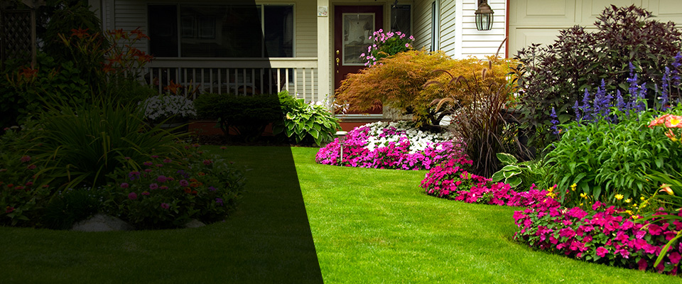 Bennettsville Landscapers