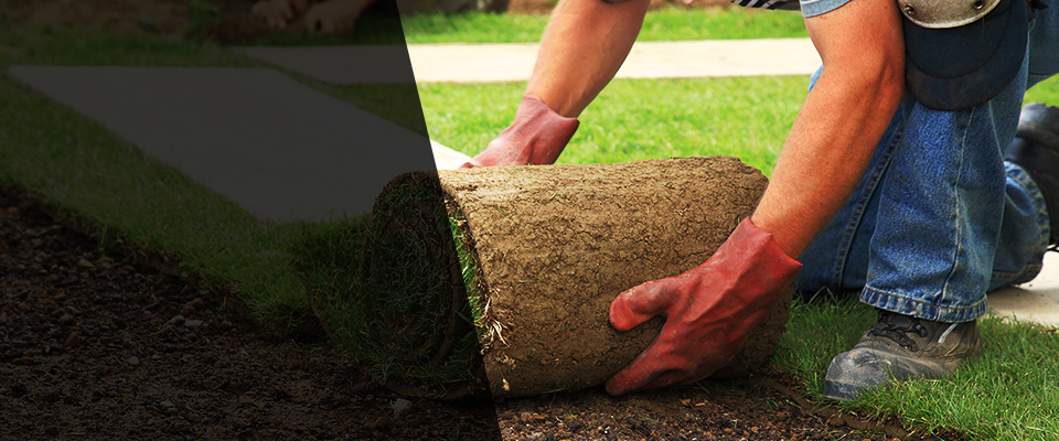 Bennettsville Landscapers